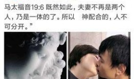 袁立郑昊爆料视频大全,揭秘娱乐圈幕后真相