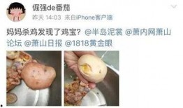 杀鸡最新爆料,揭秘幕后真相，带你走进神秘事件核心