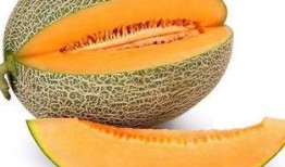 怀孕可以吃网红哈密瓜吗