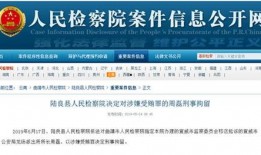 最新案件爆料信息大全,揭秘背后真相与惊人内幕