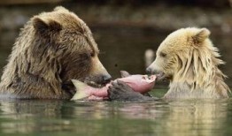 欧尼熊妈妈爆料视频大全