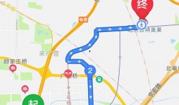 搞笑吃瓜特效软件下载免费,轻松变身喜剧达人