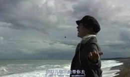 九首歌 在线观看,穿越时光的音乐之旅