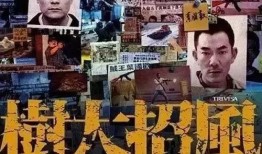 贼王香港电影在线观看,香港电影经典之作，在线观看重温黑帮传奇