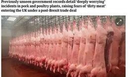 寄生虫美国爆料了吗最新消息,寄生虫事件持续发酵，真相逐渐浮出水面