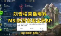 pubg手册爆料最新bp,PUBG最新BP爆料解析