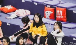 娱乐爆料lisa,揭秘明星背后的故事