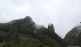 云雾山中在线观看,在线揭秘神秘山林的奇幻之旅