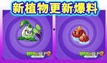 僵尸校园2爆料视频,独家爆料视频带你领略惊悚校园新篇章