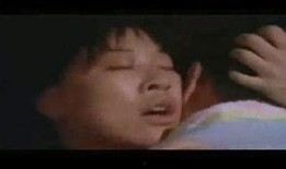 窥情在线观看,揭秘网络情感世界的秘密角落