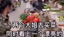 吃瓜惹的祸免费,一场意外的网络争议