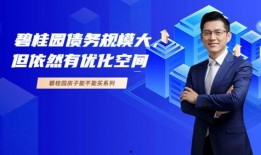 深圳波哥最新爆料,最新爆料背后的惊人真相