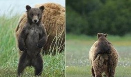 欧尼熊妈妈爆料视频大全