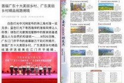珠江日报爆料新闻事件,重大新闻事件引发社会关注