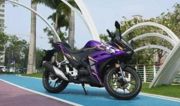 国产最新机车爆料,揭秘最新机车爆料，性能与颜值并存