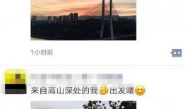 晨曦爆料视频内容,事件背后惊人真相