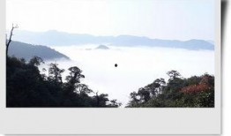 云雾山中在线观看,在线揭秘神秘山林的奇幻之旅