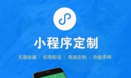 最新爆料营小程序叫什么,最新爆款小程序——“营小程序”的神秘面纱