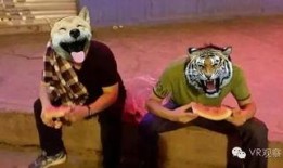 吃瓜惹的祸免费,一场意外的网络争议