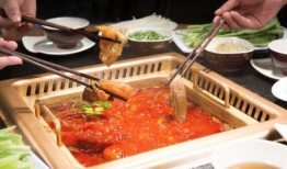 享乐美食爆料视频,享乐美食爆料视频带你领略舌尖上的诱惑