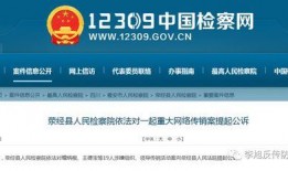 最新案件爆料信息大全,揭秘背后真相与惊人内幕