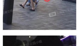 圈内人爆料6对情侣,圈内爆料下的爱情故事