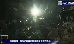 最新黑匣子爆料,事故真相再引热议