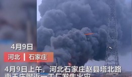 怀宁媒体爆料事件视频播放
