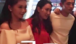 黄毅清爆料马苏小视频,真相背后引发热议