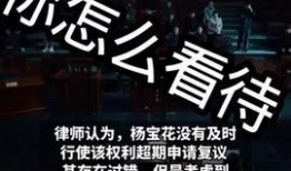 怀化热点爆料新闻最新视频,视频揭露惊人真相，市民热议！