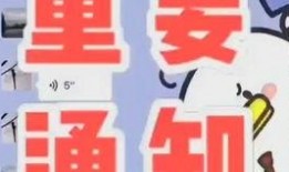 河南村长爆料视频,揭秘乡村现状与民生问题