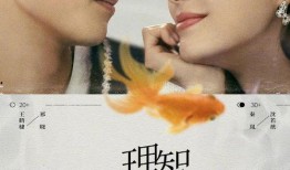 秦岚王鹤棣爆料视频播放,幕后故事大揭秘