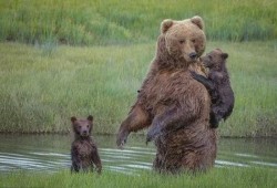 欧尼熊妈妈爆料视频大全