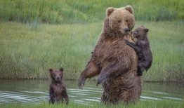 欧尼熊妈妈爆料视频大全