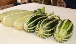 哪里可以吃网红瓜